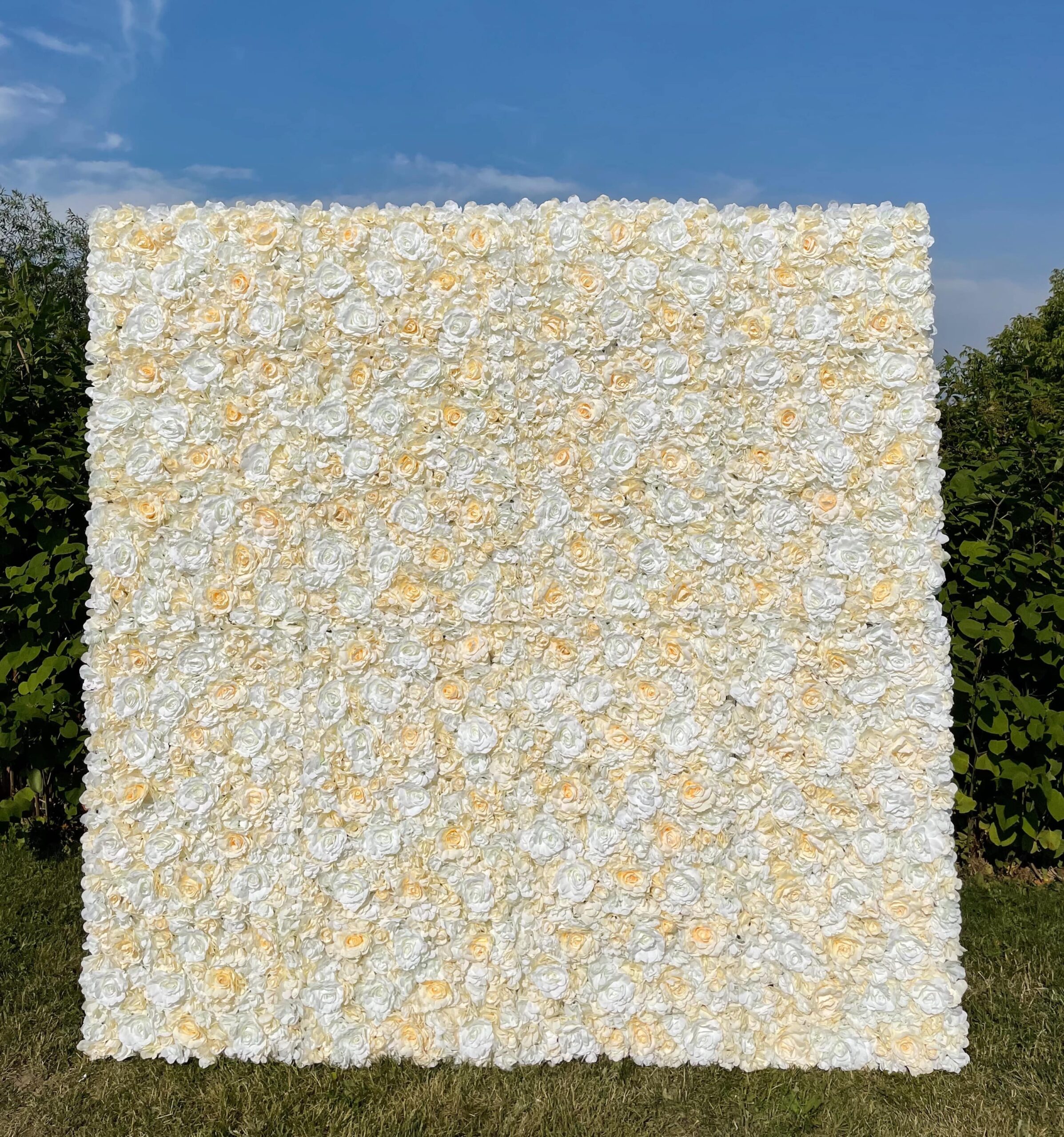 Champagne Flower Wall - Image 4