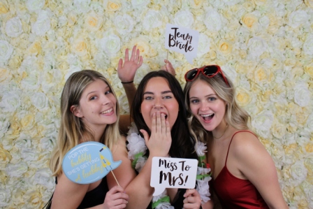 Champagne Flower Wall - Image 3