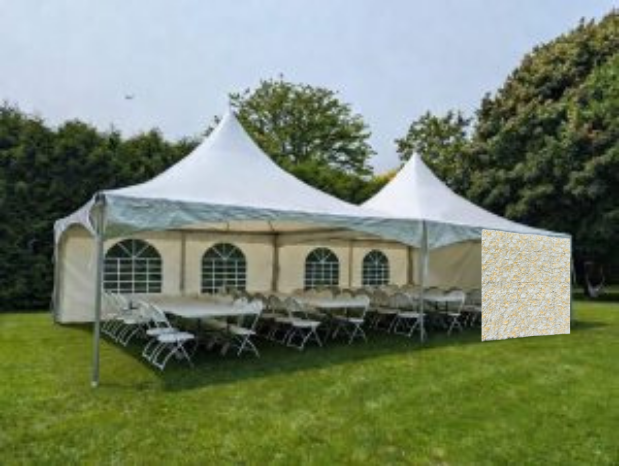 Champagne Flower Wall - Image 2